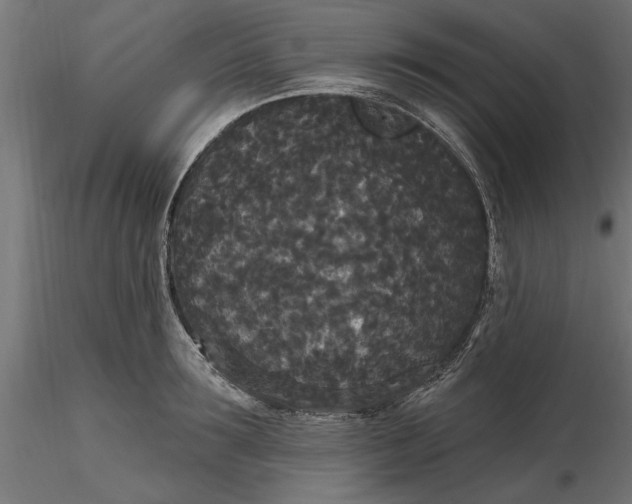 X0000116850899201001051503