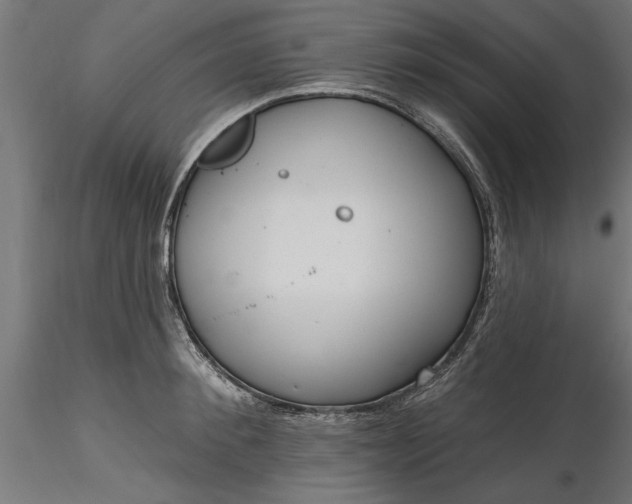 X0000116850900201001051503