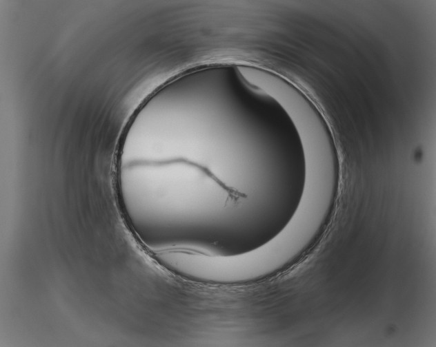 X0000116850901201001051503