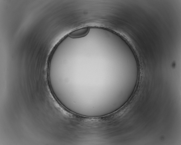 X0000116850902201001051503