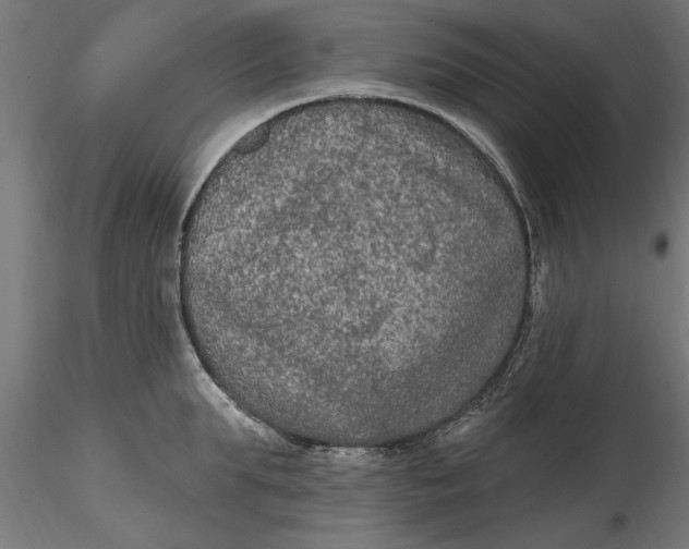 X0000116850903201001051503