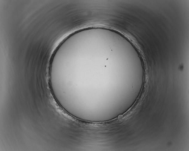 X0000116850904201001051503