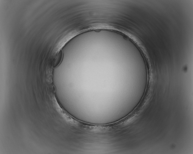 X0000116850905201001051503