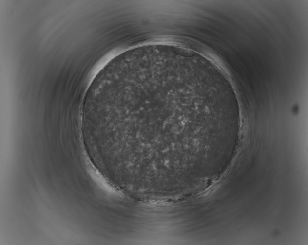 X0000116850907201001051503