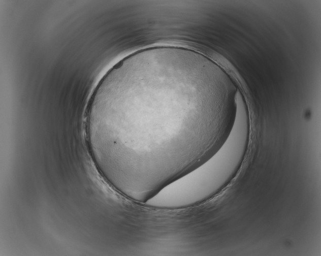 X0000116850908201001051503