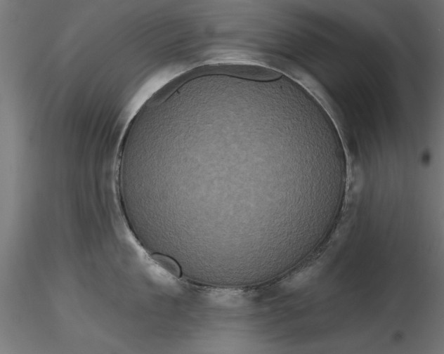 X0000116850909201001051503