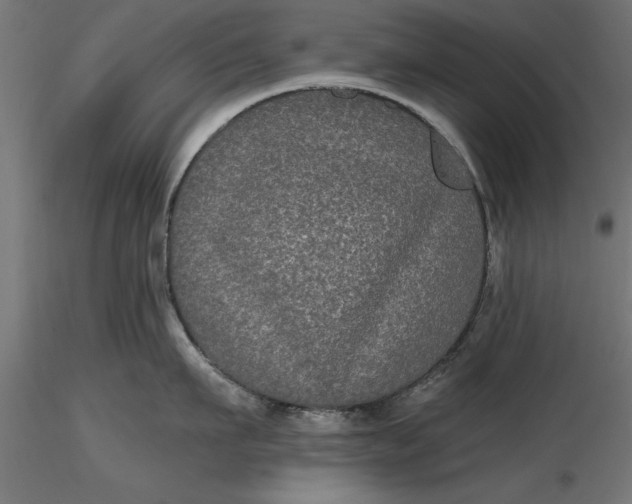 X0000116850911201001051503