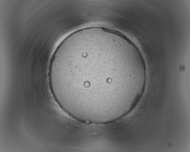 X0000116850912201001051503