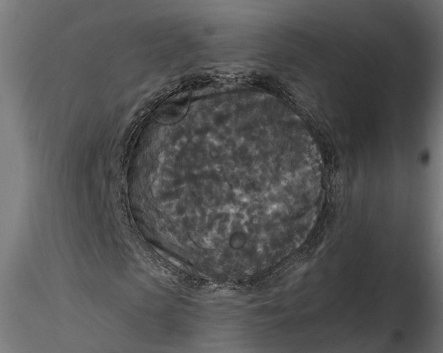 X0000116850913201001051503