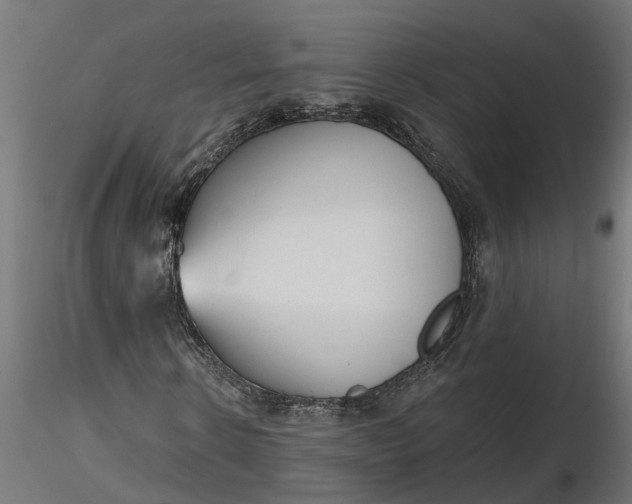 X0000116850914201001051503