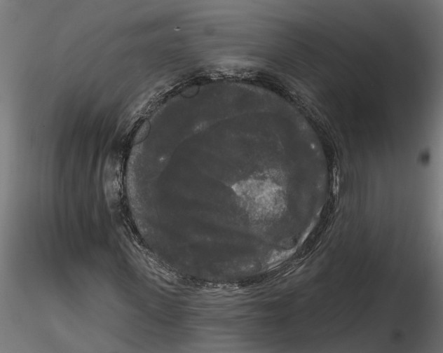 X0000116850915201001051503