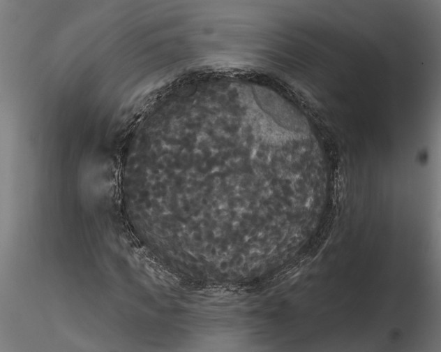 X0000116850917201001051503