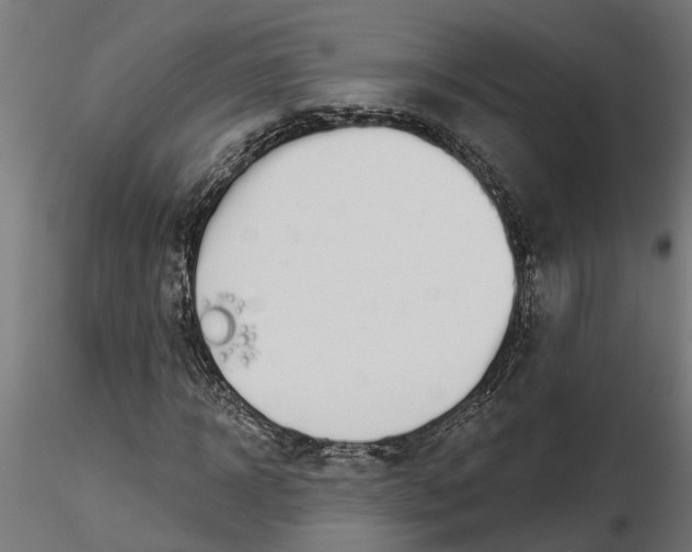 X0000116850918201001051503