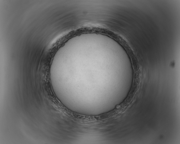 X0000116850919201001051503