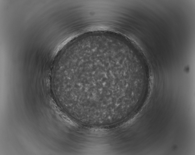 X0000116850921201001051503