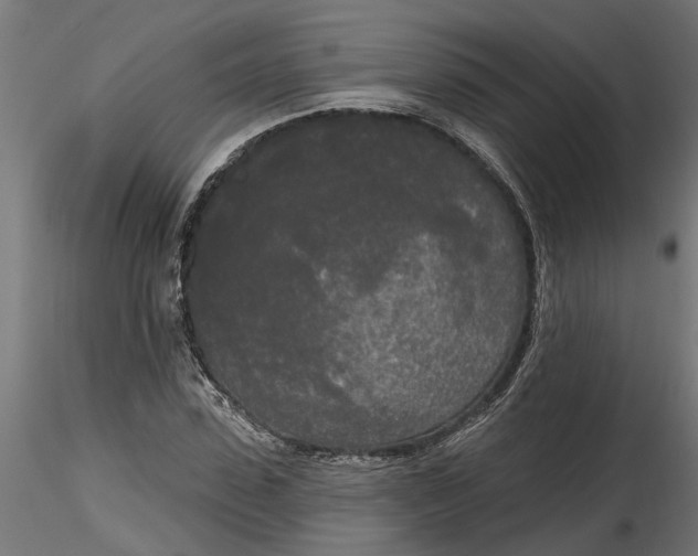 X0000116850923201001051503