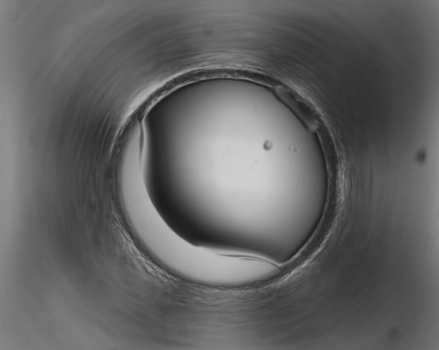 X0000116850925201001051503