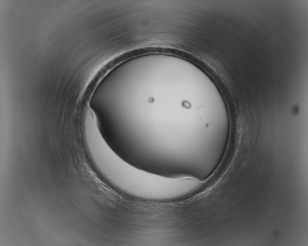 X0000116850926201001051503