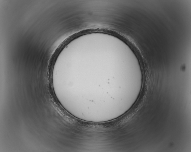 X0000116850927201001051503