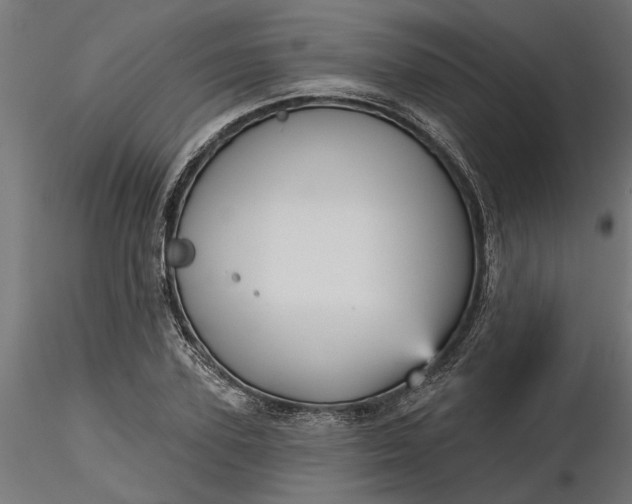 X0000116850931201001051503