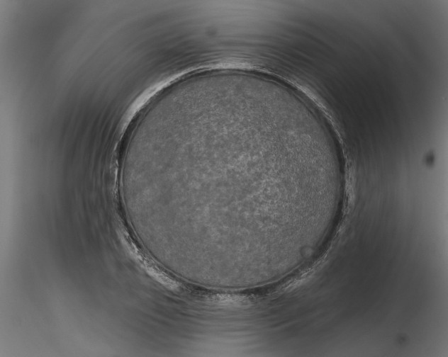 X0000116850933201001051503