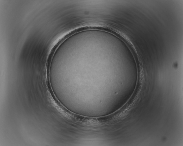 X0000116850935201001051503