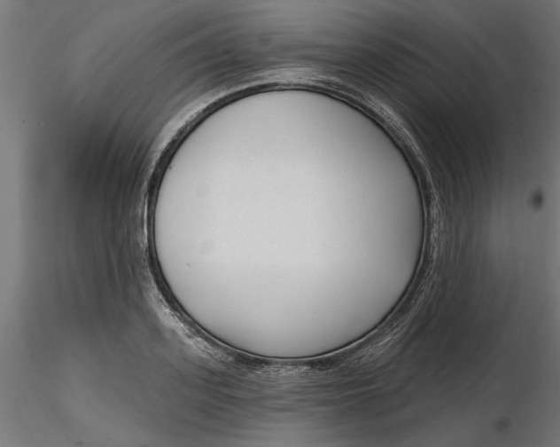 X0000116850939201001051503