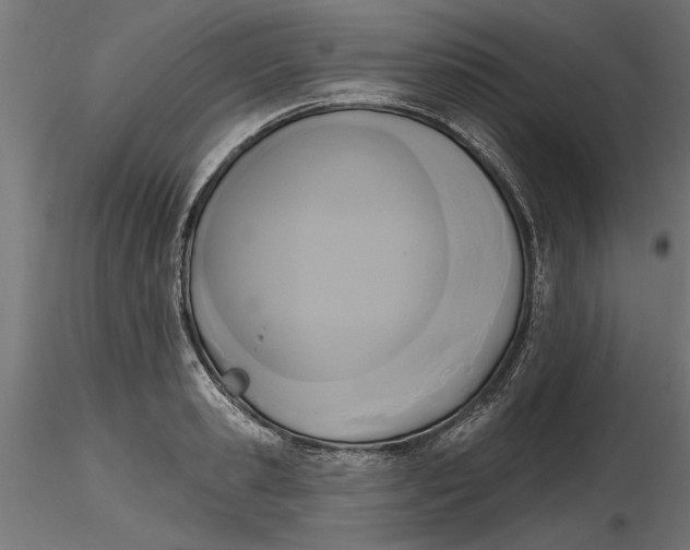 X0000116850941201001051503