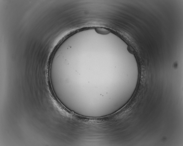 X0000116850942201001051503