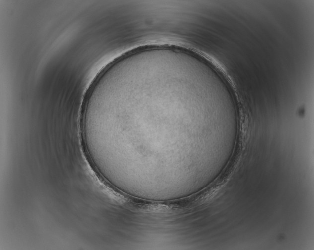 X0000116850943201001051503