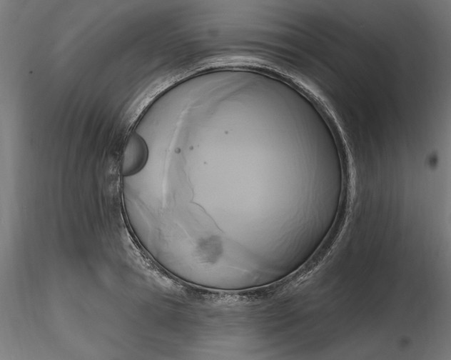 X0000116850945201001051503