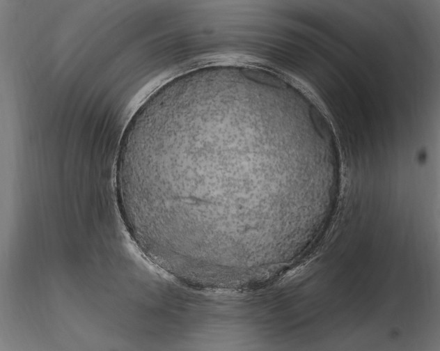 X0000116850946201001051503