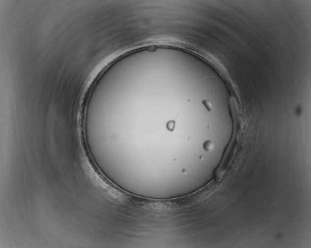 X0000116850947201001051503