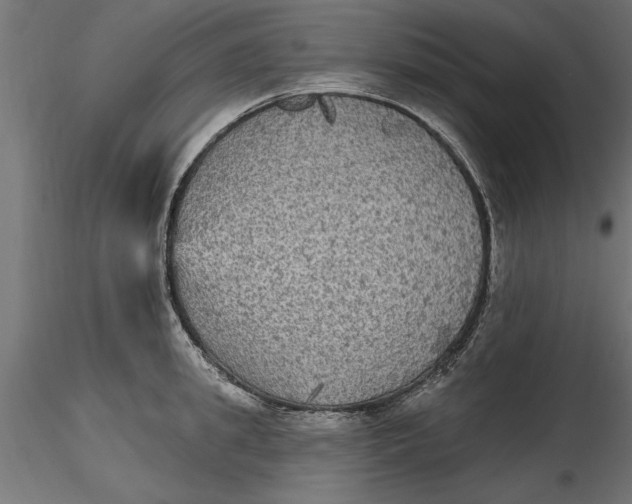 X0000116850949201001051503