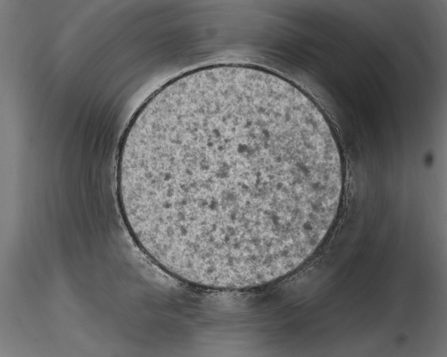 X0000116850950201001051503