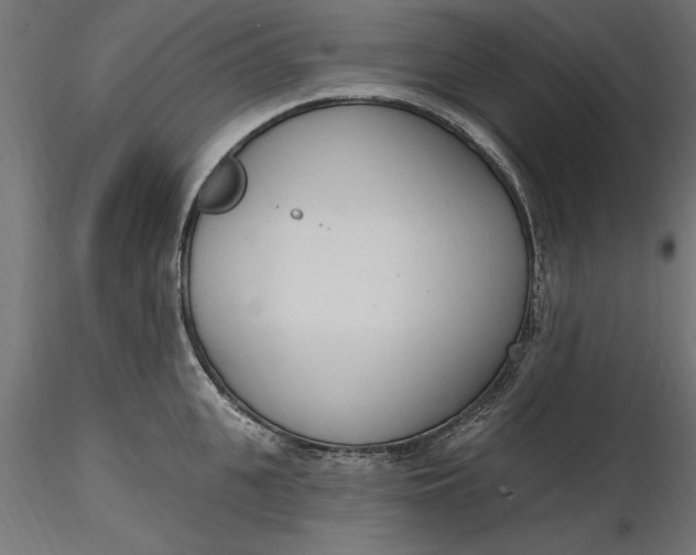 X0000116850951201001051503