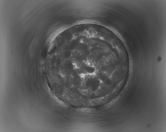 X0000116850953201001051503