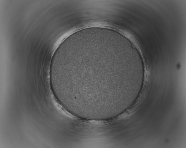 X0000116850954201001051503