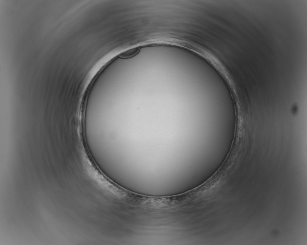 X0000116850955201001051503