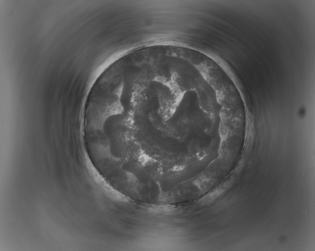 X0000116850957201001051503