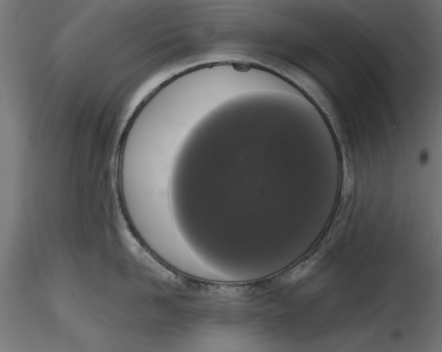 X0000116850958201001051503