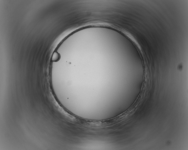 X0000116850959201001051503