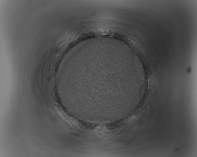 X0000116850961201001051503