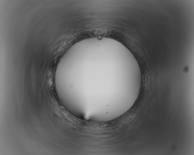 X0000116850962201001051503