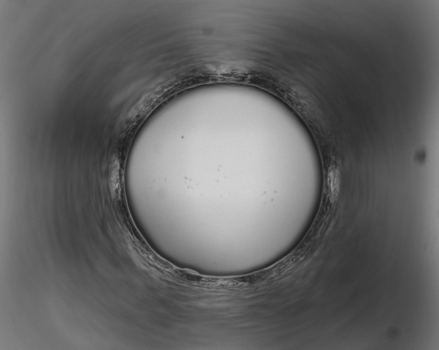 X0000116850963201001051503