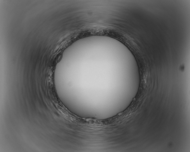 X0000116850964201001051503