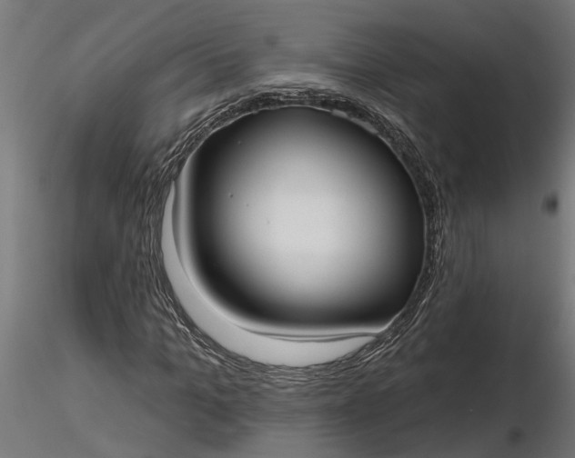 X0000116850965201001051503