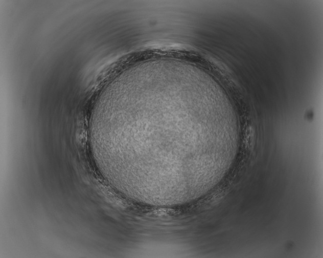 X0000116850966201001051503