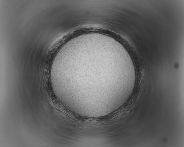 X0000116850967201001051503