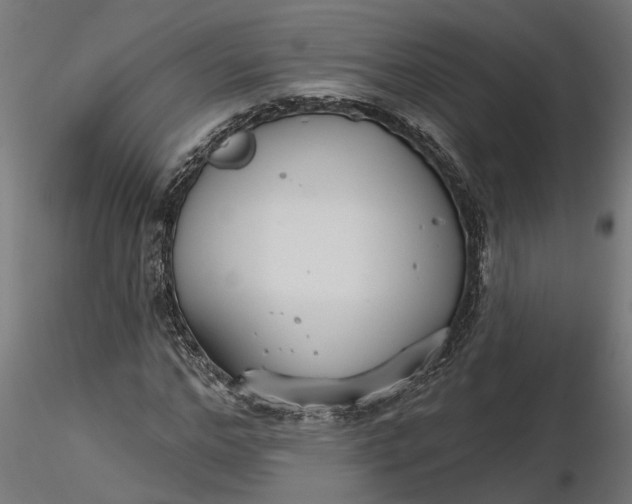 X0000116850968201001051503